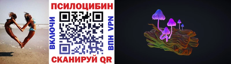 Псилоцибиновые грибы Psilocybe  цена   Волчанск 